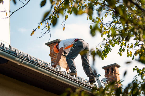 Best Metal Roofing Contractor  in Bethlehem Village, CT